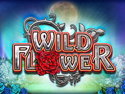 Wild Flower thumbnail